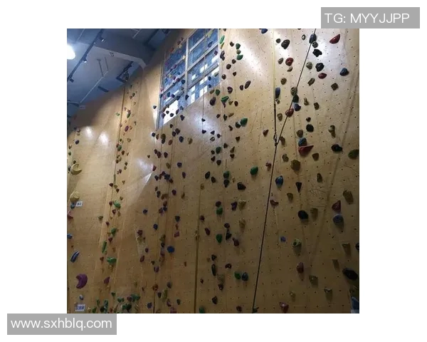 南京攀岩队的控制打法分析与战术应用深度解读 南京攀岩队的控制打法分析与战术应用深度解读