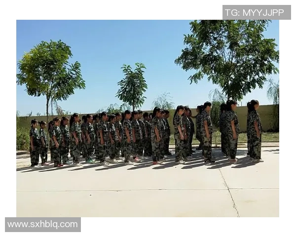 吴丽的英雄联盟人生探索：从新手到职业选手的成长与挑战