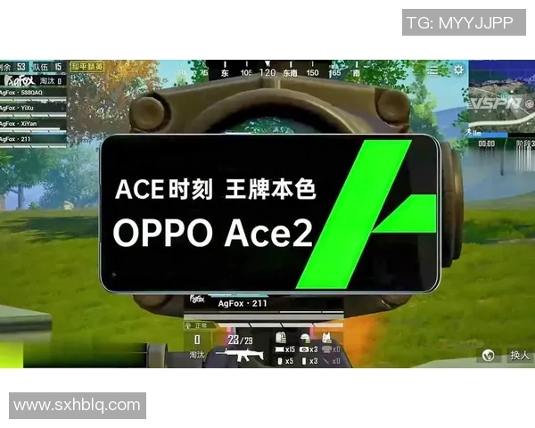 和平精英战术分析：TES包夹战术的深度解读与应用探讨