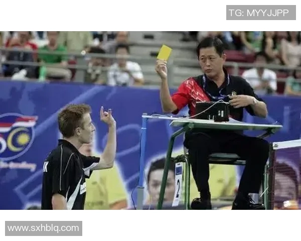 深圳羽毛球队的运营揭秘与发展深度分析探讨