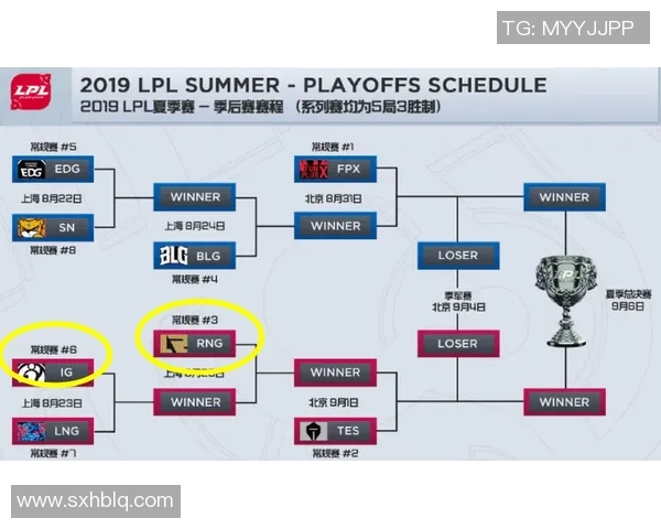 赛后复盘：IG与RNG对决中的战术较量与团队协作分析