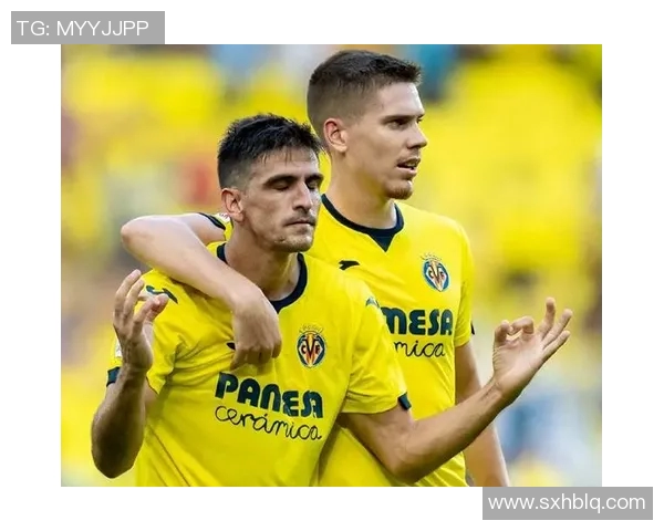 努涅斯在足球赛场上的崛起与挑战探讨