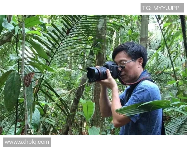 张宁的奋斗历程与成就探索：从平凡到卓越的成长之路